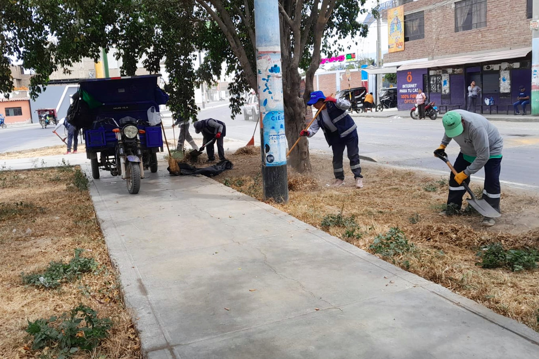 ¡Trabajos de Mejoramiento de Parques y Jardines!