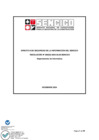 Vista preliminar de documento ANEXO RESOLUCIÓN 222  DIRECTIVA DE SEGURIDAD DE LA INFORMACIÓN DICIEMBRE 2024 R   1  F