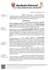 Vista preliminar de documento Resolución Directoral N° 5077-2024-GRSM-DRE-UGEL-SAN-MARTIN