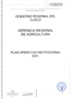 Vista preliminar de documento Plan Operativo Institucional del año 2021