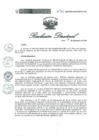 Vista preliminar de documento RD 264 DG 2024