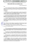 Vista preliminar de documento RESOLUCION N° 266-2024-UNHEVAL-URH/J