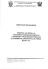 Vista preliminar de documento DIRECTIVA N°002-2024-MDPN