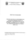 Vista preliminar de documento DIRECTIVA N°003-2024-MDPN