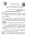 Vista preliminar de documento R.A N° 368-2024