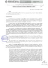 Vista preliminar de documento RESOLUCION N° 270-2024-UNHEVAL-URH/J