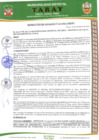 Vista preliminar de documento 121 resolucion de alcladia