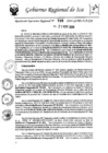 Vista preliminar de documento rer-735-2024-gore-ica-gr