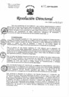 Vista preliminar de documento RD N°314-2024-DG/HNHU