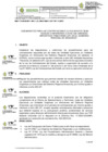 Vista preliminar de documento DIRECTIVA-000019-2024-GRPPAT-SGDITI