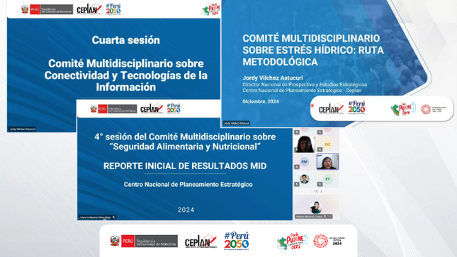 Comités multidisciplinarios impulsados por el Ceplan avanzan hacía la reducción de brechas