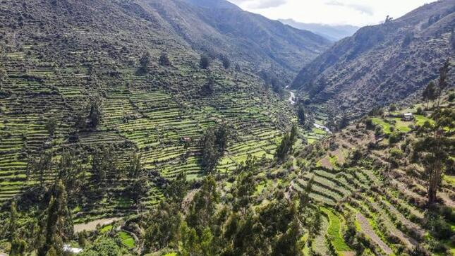 Gobierno lanzó proyecto para recuperar más de 18 mil hectáreas de andenes en Apurímac 