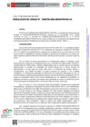 Vista preliminar de documento RU-0730-2024-MIDIS-PNPAIS-UA