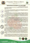 Vista preliminar de documento Resolución de Alcaldía N.° 167-2024-A-MDI
