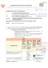 Vista preliminar de documento ADICIONAL DE OBRA AÑO 2023
