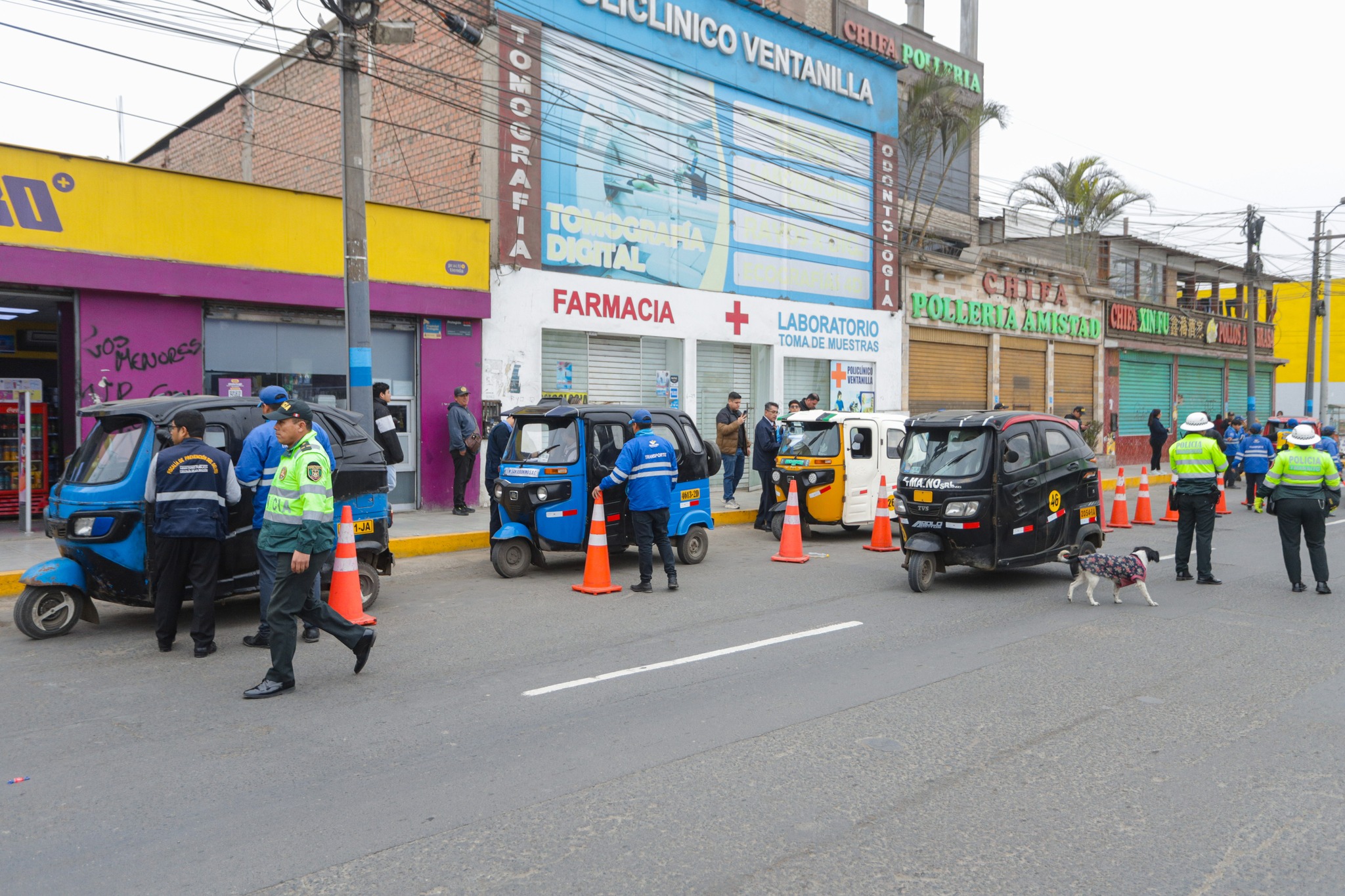 Realizamos 60 operativos junto a la Policía Nacional 🚔 para regular la circulación de mototaxis 🛺 y reforzar la seguridad 👮‍♂️ en Ventanilla.