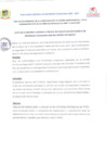 Vista preliminar de documento Segunda Audiencia Pública de Comité Distrital de Seguridad Ciudadana - PARCOY - 2024