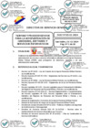 Vista preliminar de documento 01 2024-12-13 Directiva N° DGG-03-GI-2024