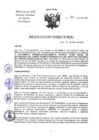Vista preliminar de documento RD-146-2024-DG-INCN