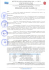 Vista preliminar de documento RESOLUCION DE ALCALDIA 347