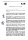 Vista preliminar de documento R.A N° 100-2024