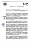 Vista preliminar de documento R.A N° 105-2024
