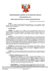 Vista preliminar de documento Resolución de la Unidad Registral N°238-2024-SUNARP-ZRIII-UREG
