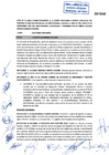 Vista preliminar de documento Acta 21