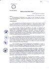 Vista preliminar de documento R.D 239-DG-24