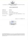 Vista preliminar de documento VIATICOS Y PASAJES(NOVIEMBRE 2024)