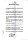 Vista preliminar de documento 195