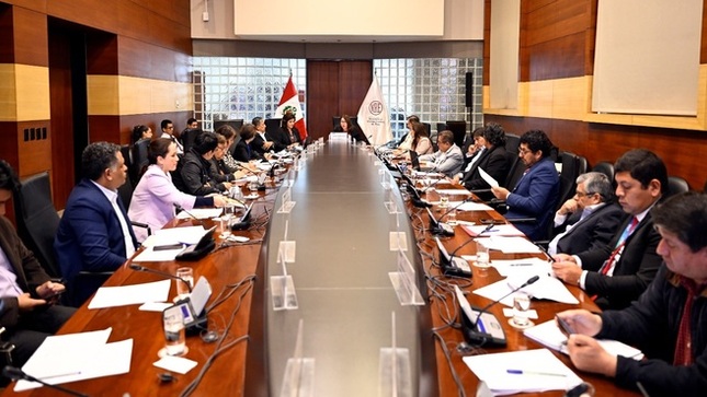 Cancillería e instituciones informaron sobre logros en implementación del Plan de Trabajo de Comisión Nacional Permanente Peruana de la OTCA