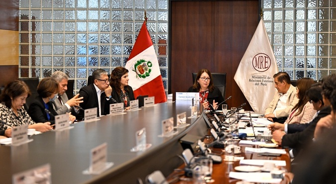 Cancillería e instituciones informaron sobre logros en implementación del Plan de Trabajo de Comisión Nacional Permanente Peruana de la OTCA