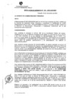 Vista preliminar de documento RG - 133 -2022