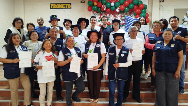 DIRIS Lima Sur comprometido con la salud mental de los adultos mayores en Villa El Salvador
