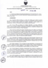 Vista preliminar de documento RDR N° 685-2024-17-12-2024