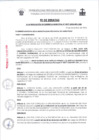 Vista preliminar de documento FERG0377-2024