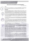 Vista preliminar de documento rgm-395