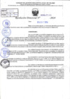 Vista preliminar de documento R.D 2141-2024