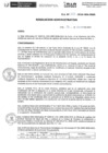 Vista preliminar de documento R.A.N.383-2024-INSN-OEA