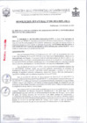 Vista preliminar de documento RJ188-2024-OGA