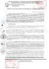 Vista preliminar de documento RESOLUCCION DE GERENCIA MUNICIPAL Nº 438-2024-MPS-GM