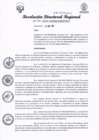Vista preliminar de documento RDR N 296-2024