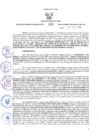 Vista preliminar de documento RES-185-2024-GRI