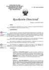 Vista preliminar de documento RD 265 2024 DG HEJCU