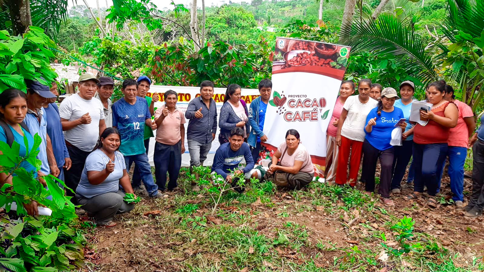 Mil productores de cacao y café fortalecen sus capacidades a través de ECAS