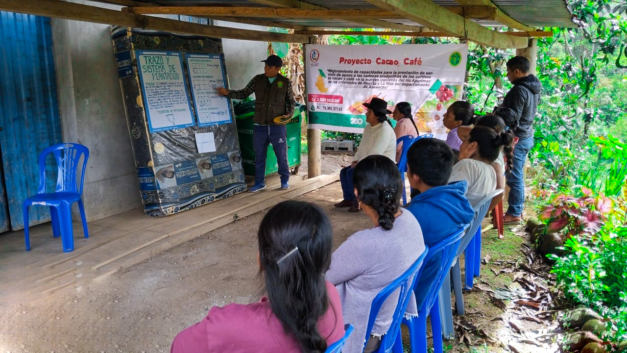 Mil productores de cacao y café fortalecen sus capacidades a través de ECAS