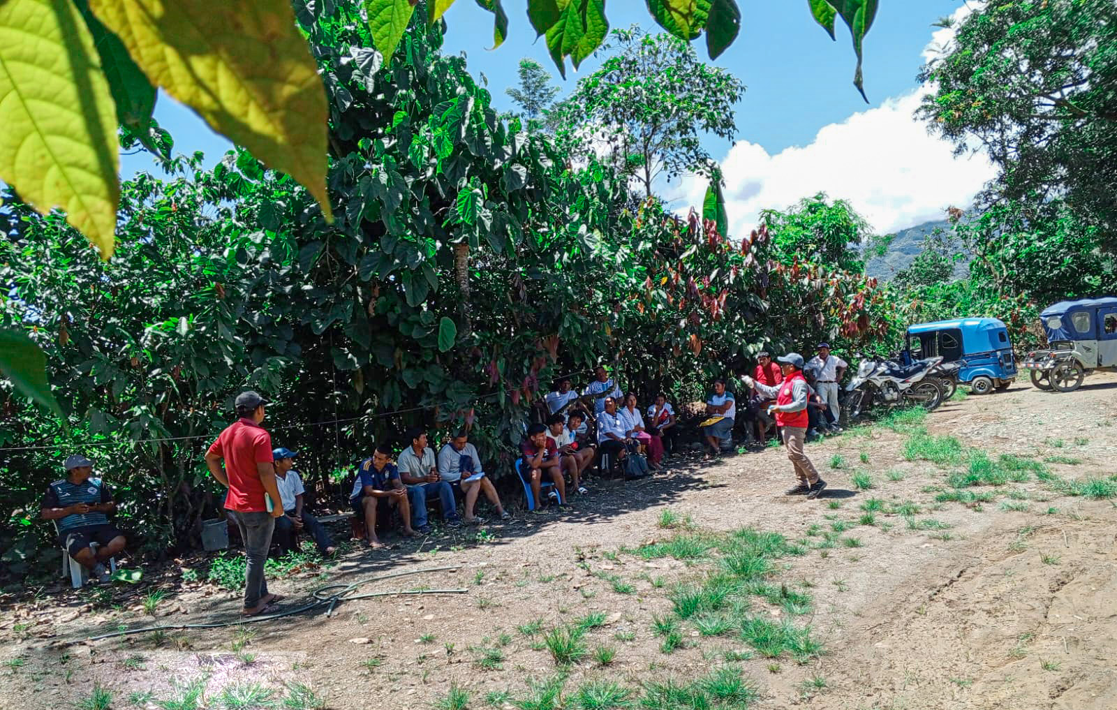 Mil productores de cacao y café fortalecen sus capacidades a través de ECAS