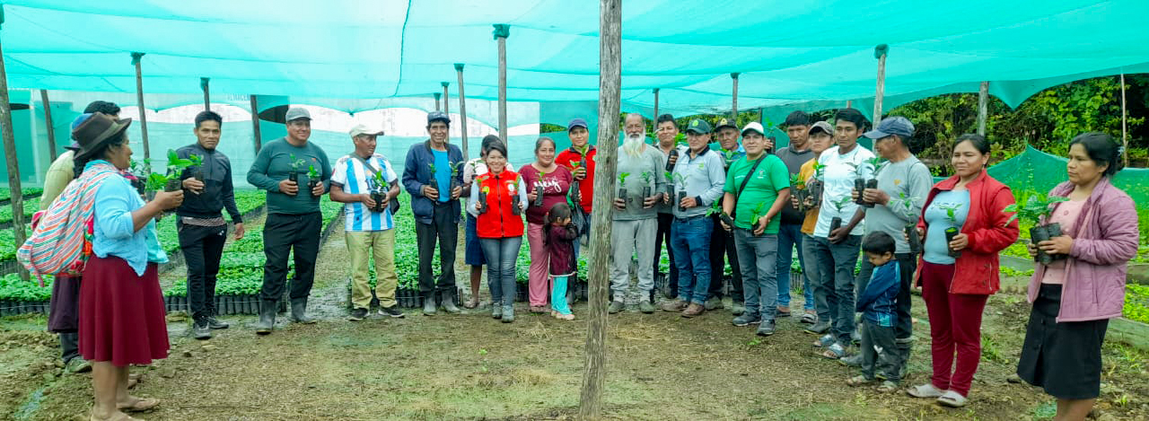 DRA Ayacucho entregó 760 mil plantones de café a 190 familias de Huanta y La Mar