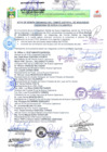 Vista preliminar de documento Acta de Sesión Ordinaria IV